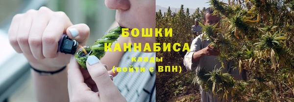 тгк Каменск-Шахтинский