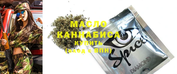 тгк Каменка