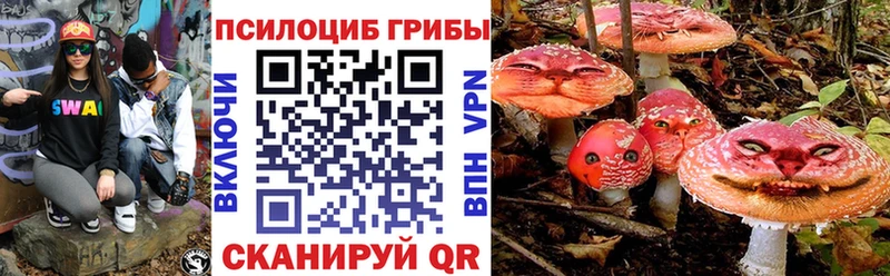 Псилоцибиновые грибы Psilocybine cubensis  закладка  Чехов 